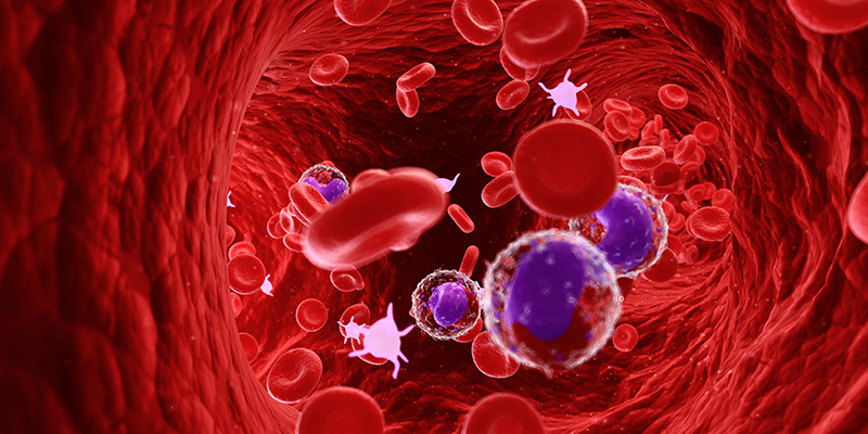 Лейкоциты в общем анализе крови (WBC, Leuk)