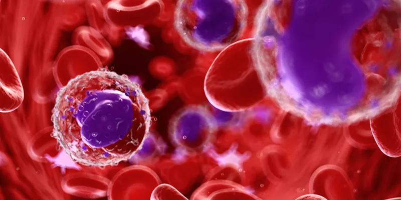 Норма лейкоцитов в крови, фото